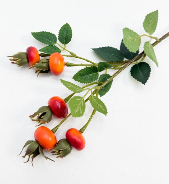 Шиповник "Яблочный" оранжевый