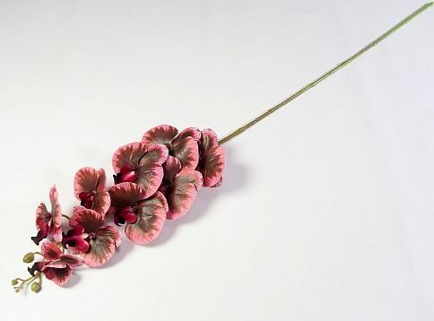 Ветка орхидеи 34 от магазина KALINA являющийся официальным дистрибьютором в России 