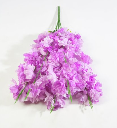 Ветка яблони "Неженка" 5 веток