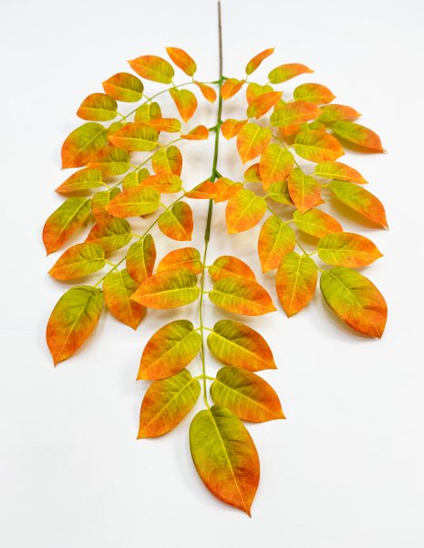 картинка Ветка гуавы осенняя от магазина KALINA