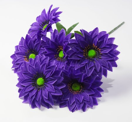 Георгин с зеленой тычинкой 6 цветков