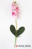 Ветка орхидеи 3 цветка