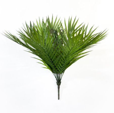 картинка Пальма тропическая от магазина KALINA