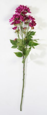 Ветка хризантемы кустовой византия