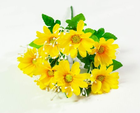 Ромашка разноцветная 7 цветков