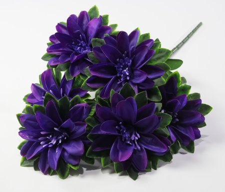 Букет георгина "Пава" 6 цветков