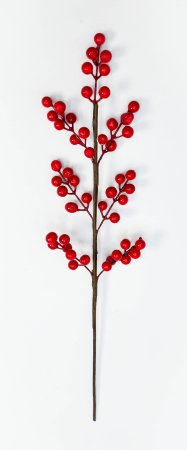 Ягода 7 веточек