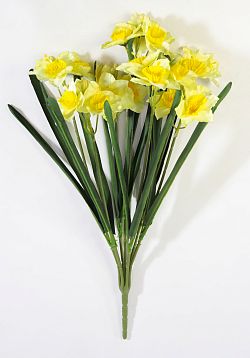 Букет Нарциссов "Космос" 21 цветок от магазина KALINA являющийся официальным дистрибьютором в России 