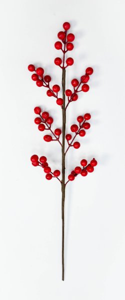 Ягода 7 веточек