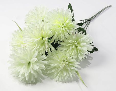 Хризантема "Престиж" 7 цветков от магазина KALINA являющийся официальным дистрибьютором в России 