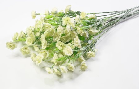 Ветка мелкой розы с напылением