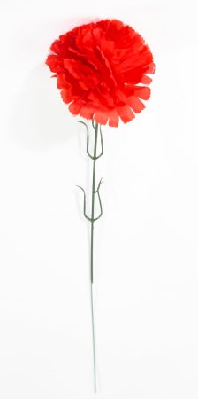 Гвоздика штучка