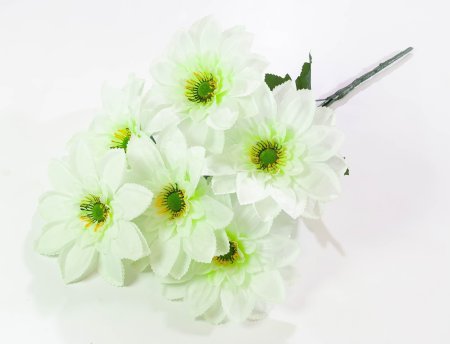 Лопух "Фабио" 6 веток