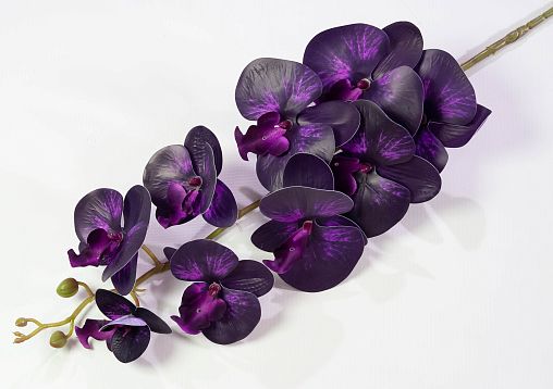 Ветка орхидеи 27 искусственная от магазина KALINA являющийся официальным дистрибьютором в России 