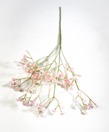 Ветка гипсофилы Персик