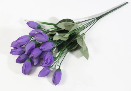 Крокус 18 цветков