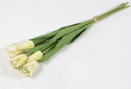 Тюльпан с латексным покрытием белый (12 букетов по 5 шт)