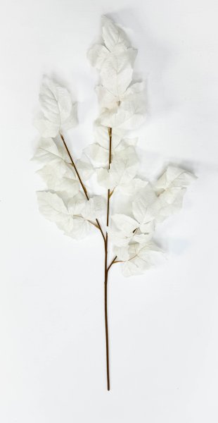 Ветка малины молочная