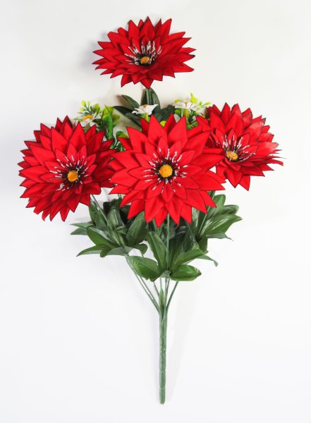 Георгин с ромашкой "Багира" 6 цветков