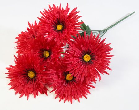 Астра Фокус малая 6 цветков