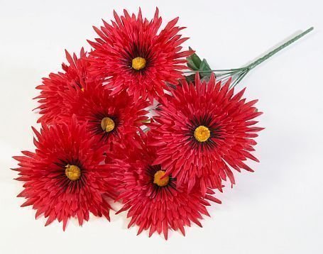 Астра "Фокус малая" 6 цветков  от магазина KALINA являющийся официальным дистрибьютором в России 
