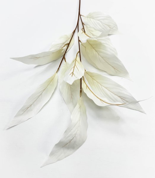 Аглаонема декоративная молочная