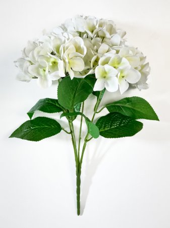 Букет гортензий 5 веток молочная