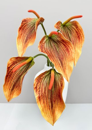 Антуриум оранжевый