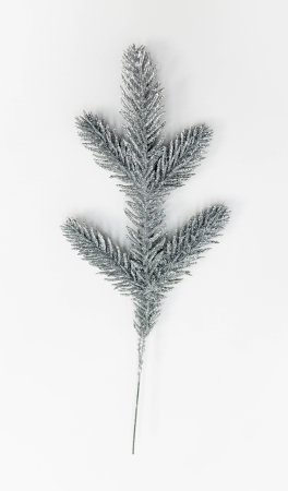 Еловая ветка серебро