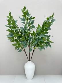 картинка Фикус ветка большая светло-зеленая от магазина KALINA