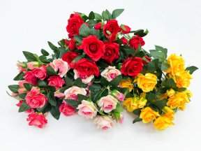 Роза Грандифлора 12 цветков 24 бутона