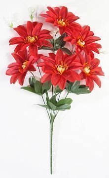 Астра "Вираж" 6 цветков от магазина KALINA являющийся официальным дистрибьютором в России 