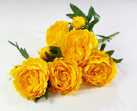 74d887f5f05ebfddefe034416488dcae