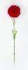 Гвоздика "Шабо" красная