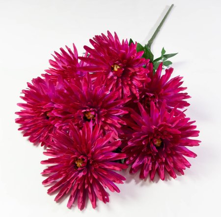 Хризантема "Танго" 7 цветков