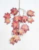 картинка Ветка клена "Морозная осень" красная от магазина KALINA