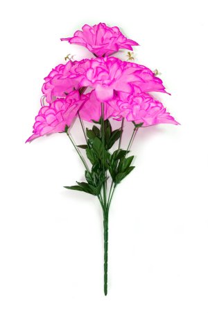 Букет астры "Звезда" 7 веток 7 цветков