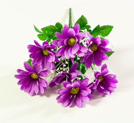 Ромашка разноцветная 7 цветков