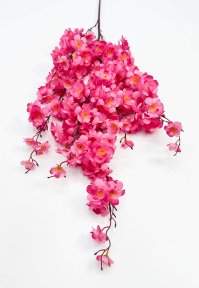 Сакура "Ветка Ханами" малиновая