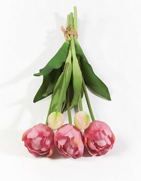 Букет открытых тюльпанов 3+2 дикий арбуз от магазина KALINA являющийся официальным дистрибьютором в России 