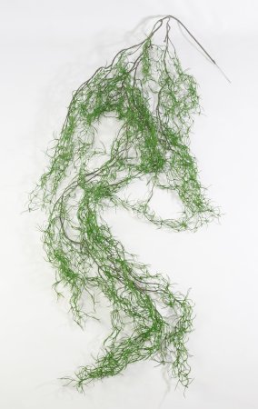 картинка Тилландсия уснеевидная объемная от магазина KALINA