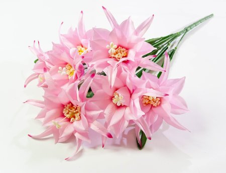 1d238fa8748c2f34bad2e8e70ea07388