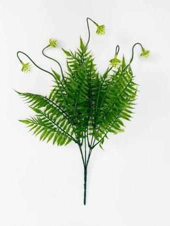 Клевер 5 веток