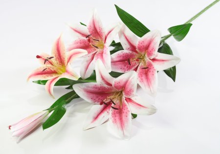Ветка больших лилий из латекса