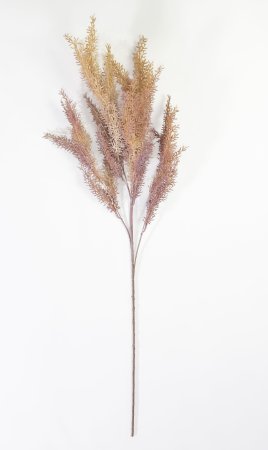 Ветка аспарагуса "Закат"