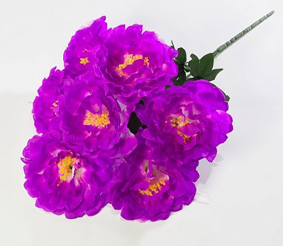 Пион "Граф" 7 цветков от магазина KALINA являющийся официальным дистрибьютором в России 