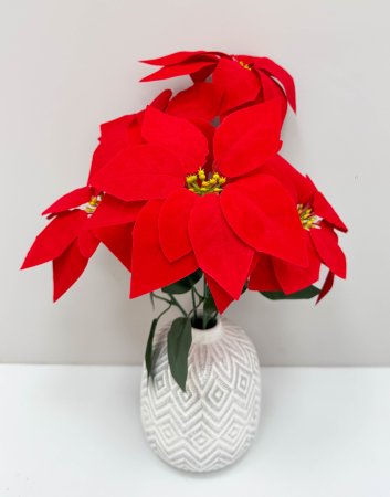 Пуансеттия 5 цветков