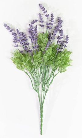 Лаванда "Французская" 2