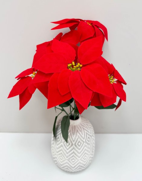 Пуансеттия 5 цветков