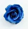 Насадка розы "Баккара" синяя